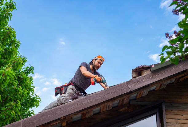 Best Skylight Installation and Repair  in Cressona, PA