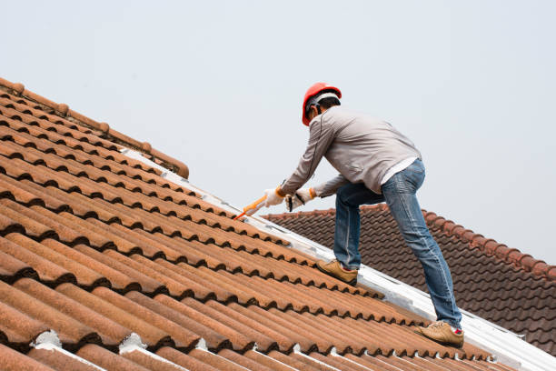 Best Roof Ventilation Installation  in Cressona, PA