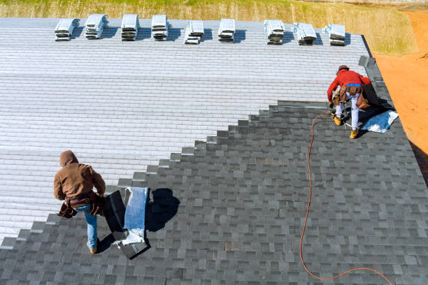 Best Storm Damage Roof Repair  in Cressona, PA