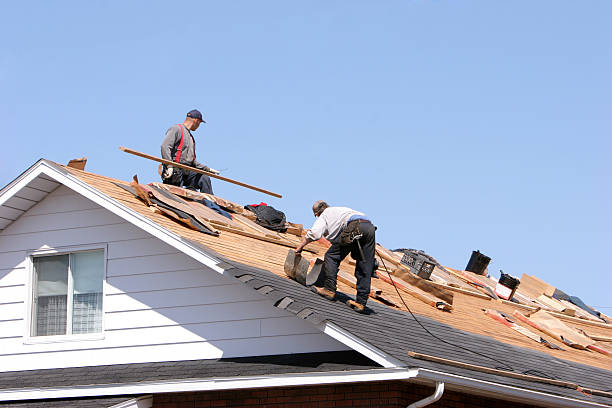 Best Metal Roofing Installation  in Cressona, PA